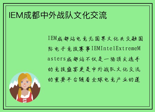 IEM成都中外战队文化交流