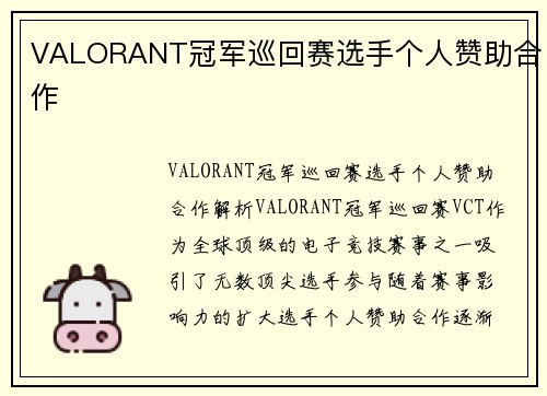 VALORANT冠军巡回赛选手个人赞助合作
