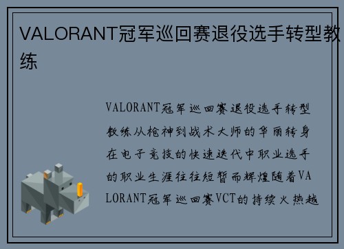 VALORANT冠军巡回赛退役选手转型教练