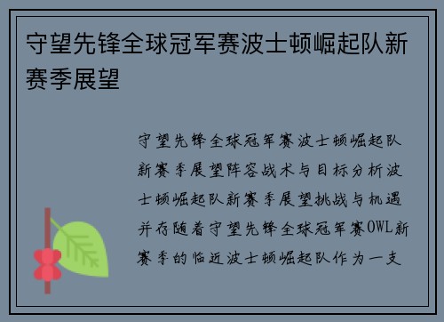 守望先锋全球冠军赛波士顿崛起队新赛季展望